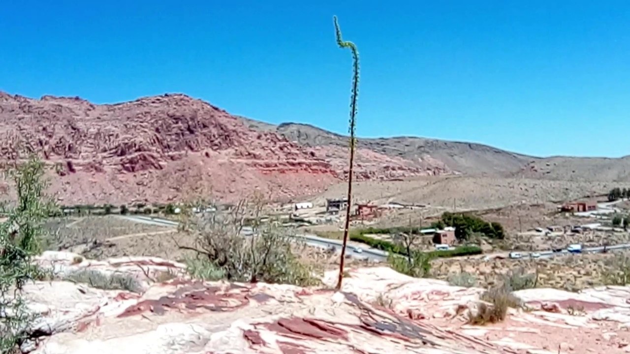 Red Spring  nevada 2