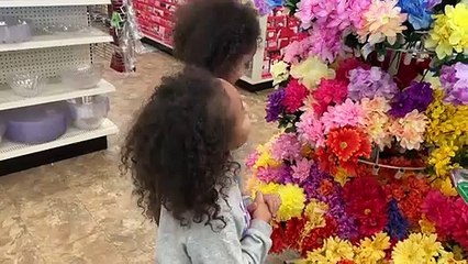 Diy Flower Wall Dollar Tree