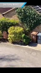 الرجال في الحجر الصحي