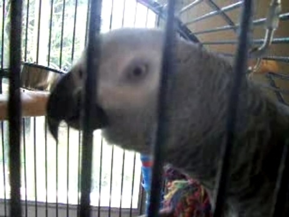 Poppy arrete la bierre ca fait roter.......