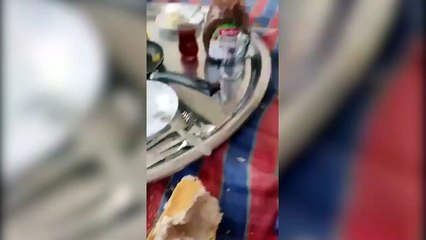 Annesine verdiği öğütlerle izleyenleri kırıp geçirdi