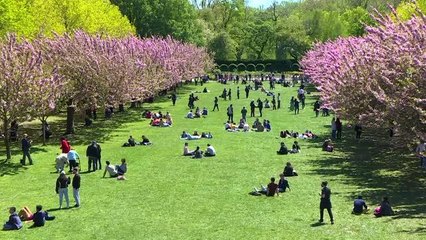New York'lular salgına rağmen parklara akın etti