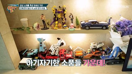 노화 방패 비결! 안혜경이 알려주는 저강도 운동 TV CHOSUN 20210502 방송