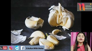 लहसुन छीलें चुटकियो में !! Follow this trick to peel Garlic quickly #kitchentips #dailytricks