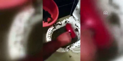 Uyuşturucu maddeleri klozetten çıkardılar!