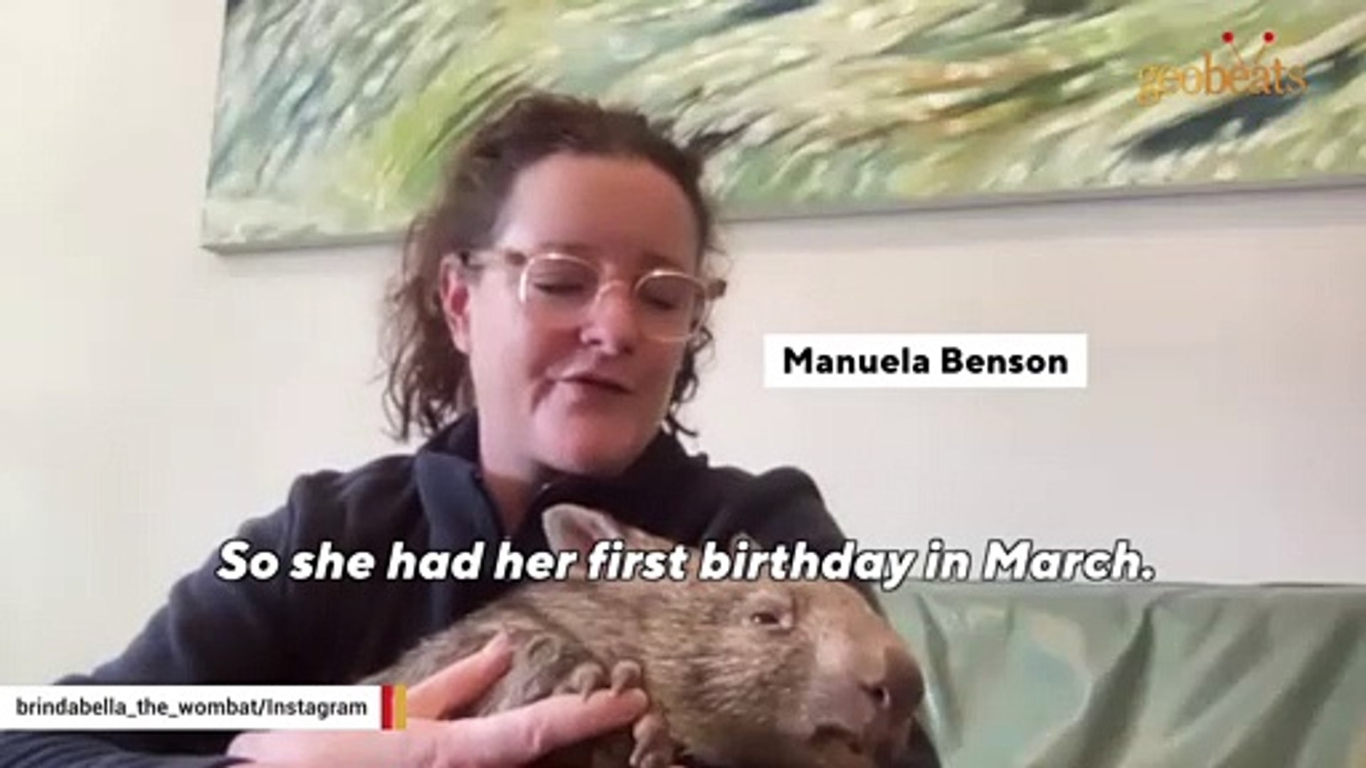 Woman becomes orphaned wombat's mommy