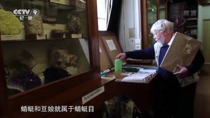 蜕变 (Metamorphosis)