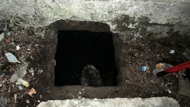 Kurtarılan yavru kediyi, berber dükkanında saç kurutma makinesiyle kuruttular