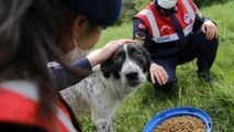 Jandarma tam kapanmada sokak hayvanlarını unutmadı