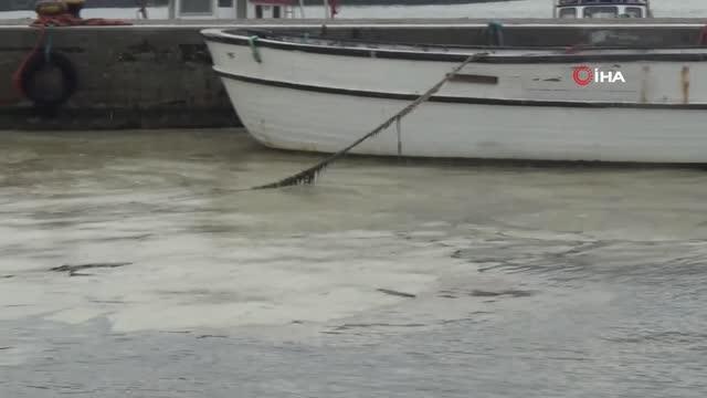 Marmara Denizi salya kıskacında