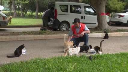 ANTALYA'DA TAM KAPANMADA SOKAK HAYVANLARI UNUTULMADI