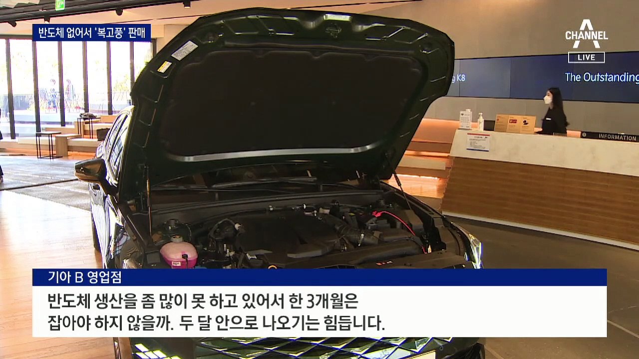 차량용 반도체 없어서 생산 차질…옵션 빼면 할인