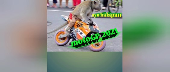 Hiburan Lucu dan Menghibur 😂