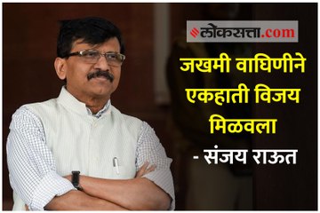 जखमी वाघिणीने एकहाती विजय मिळवला - संजय राऊत