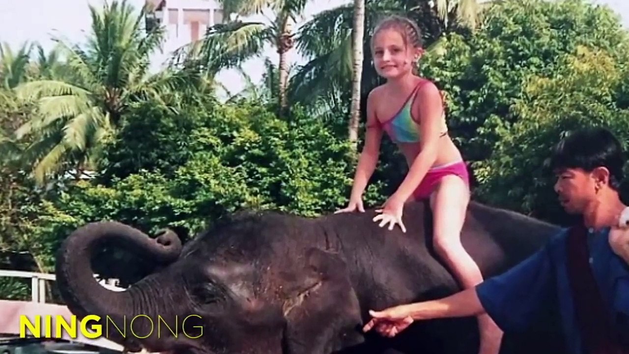 Top 7 Animales Que Han Salvado Vidas Humanas