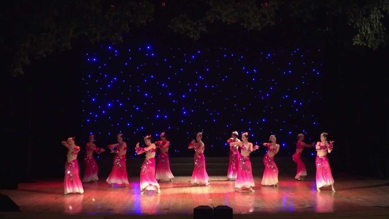 Danse de l’ethnie Dai « Poisson rouge » 傣族舞蹈《红鱼》