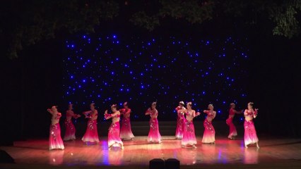 Danse de l’ethnie Dai « Poisson rouge » 傣族舞蹈《红鱼》