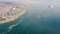 İstanbul sahilleri deniz salyasıyla doldu