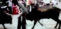 Boğaları ayırmak isteyen adam boynuzu yedi
