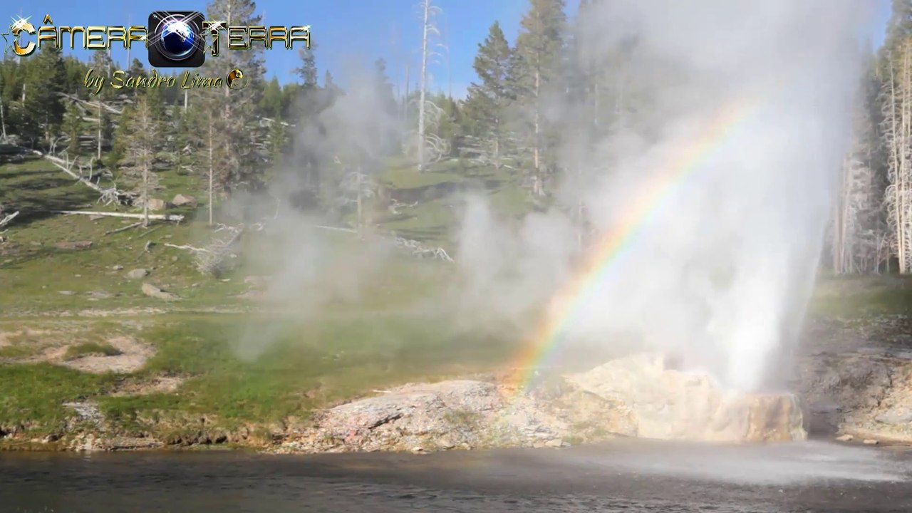 Geysers in Yellowstone National Park
