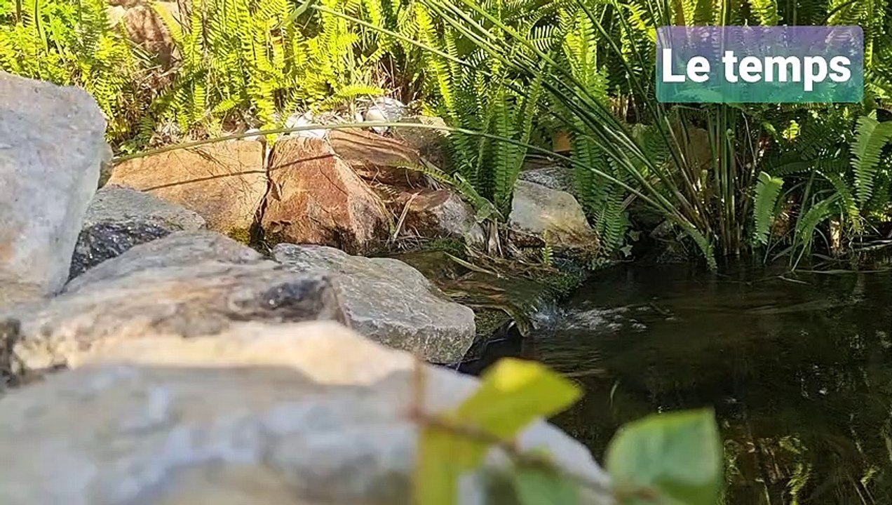 Quelqu'un/ Le jardin non secret,  avant l'hiver