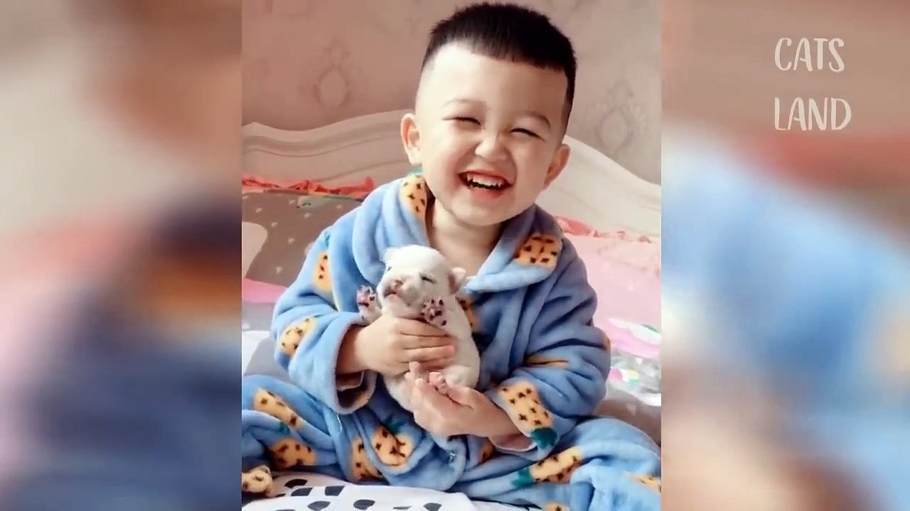 OMG So Cute Cats ♥ Best Funny Cat Videos 2021 #81