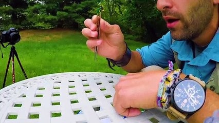 Kendini eşek arısına sokturup kameraya aldı!