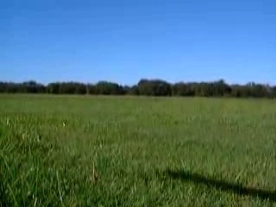 HELICO CRASH