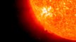 Watch a Solar Prominence Grow on The Sun