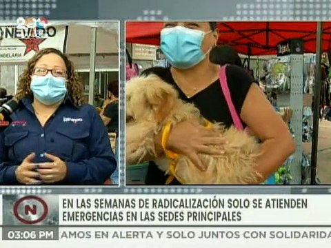 Misión Nevado realiza jornada de atención médica y adopción de perros y gatos en Plaza La Candelaria