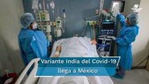 Detectan primer caso en México de variante india del Covid-19; está en San Luis Potosí