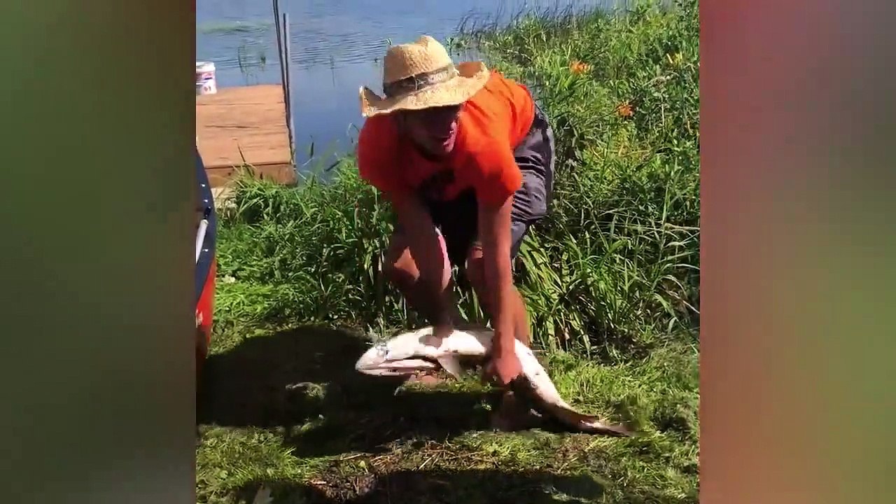 Try Not To Laugh -  Best Funny Fail Videos Compilation 2021 #2