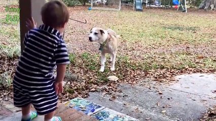 Funny Cats Protecting Babies Compilation (2017)