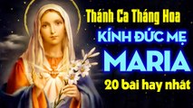 Thánh Ca Tháng Hoa Kính Đức Mẹ 2021 - 20 Bài Hát Thánh Ca Dâng Đức Mẹ Maria Hay Nhất 2021