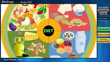 All About Nutrition | Balanced Diet Chart | Diet Plan In Quarantine Days | Letstute