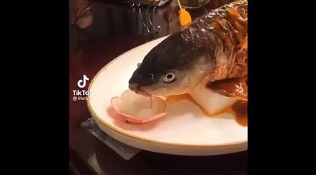 Tranh cãi món cá âm dương nửa chín nửa sống khiến bao thực khách bỏ chạy