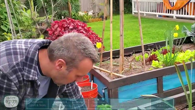 How To Grow Vegetables In Containers // Container Gardening // Self Sufficient Sunday!