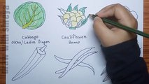 How To Draw Green Vegetables |