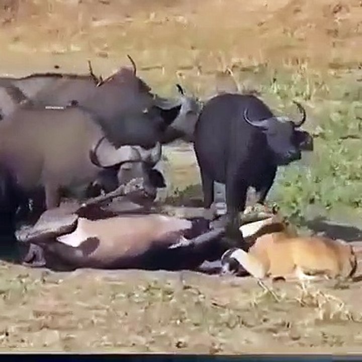The Strength of Group