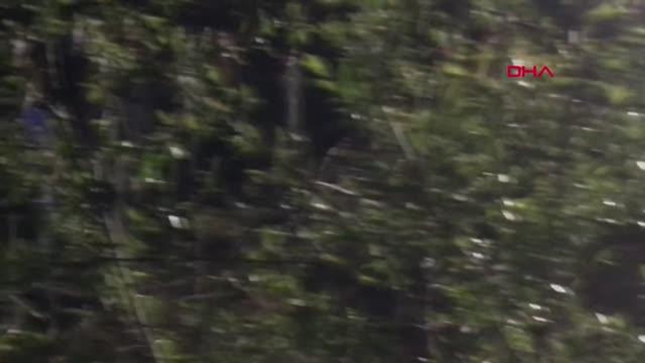 Kayıp otizmli Kerim Can için arama çalışması başlatıldı