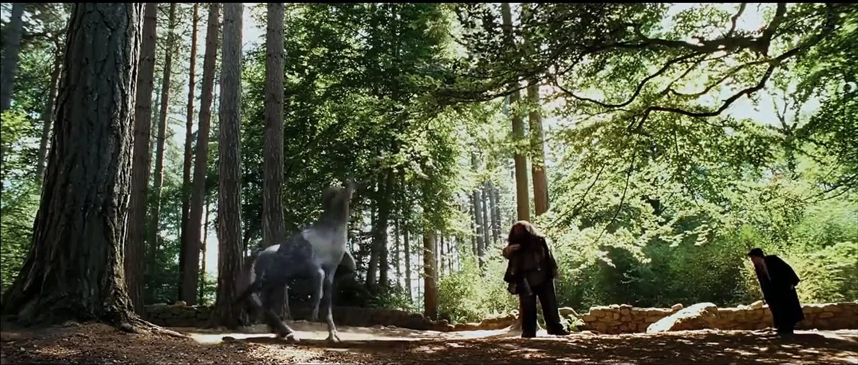 Meet Buckbeak | Harry Potter And The Prisoner Of The Azkaban