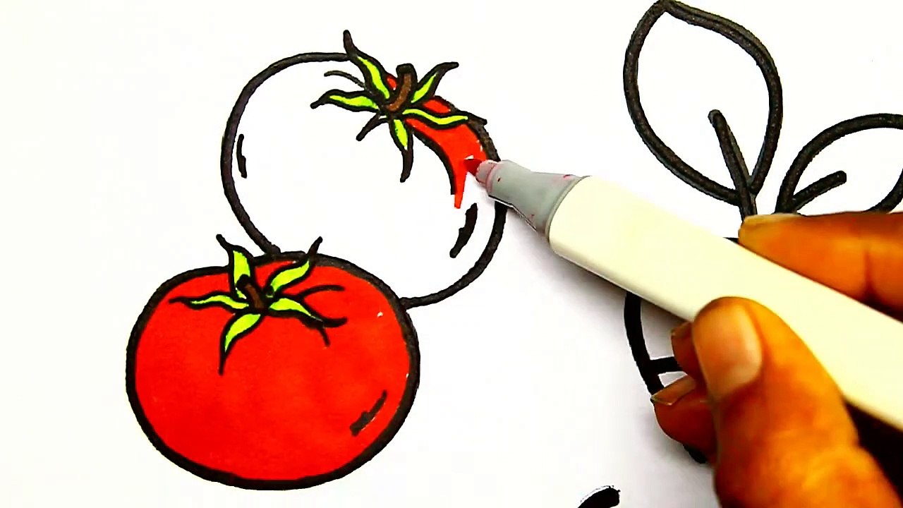 How To Draw Fruits And Vegetable | Vegetables Coloring Pages For Children