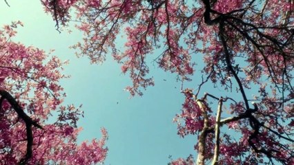 Fear The Walking Dead 6x12 In Dreams - Clip from Season 6 Episode 12 - Opening