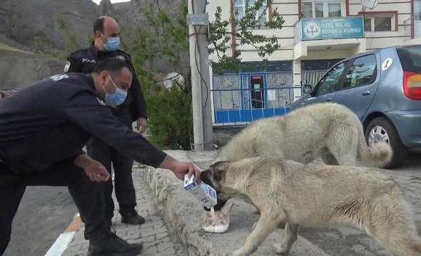 TAM KAPANMADA AÇ KALAN SOKAK HAYVANLARININ YARDIMINA POLİS KOŞTU