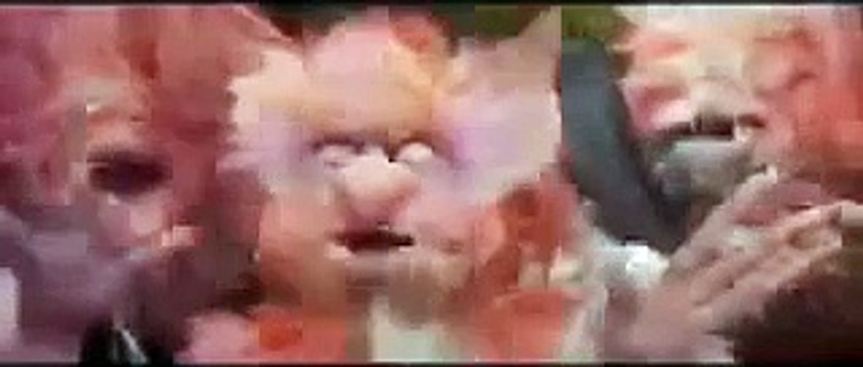 Freeze Dance | Freeze Song | Freeze Dance For Kids | Music For Kids | The Kiboomers