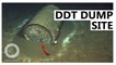 DDT Dumpsite Suspected off California Coast