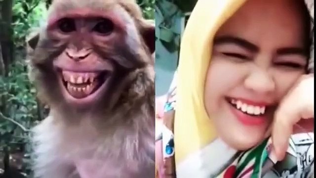 Funny Vedios | Funny Prank vedios | Comedy vedios | Prank vesios | Dog Pranks vedio | Mirror Prank vedios.