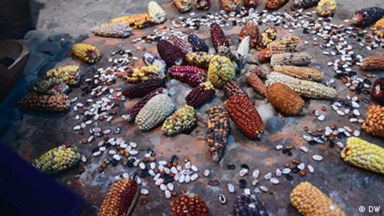 Ecuador: Die Samenhüter von Quito