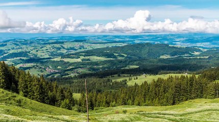 Amazing Natural Video | Nature & Nature