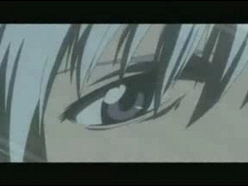 Bleach, D.Gray-Man, Rave Master